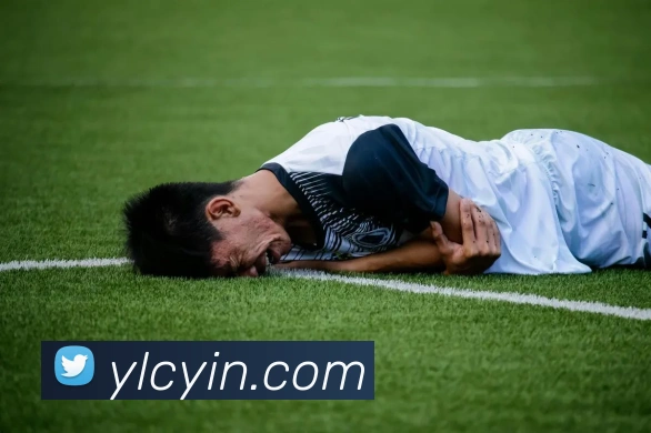 BB贝博艾弗森品牌故事