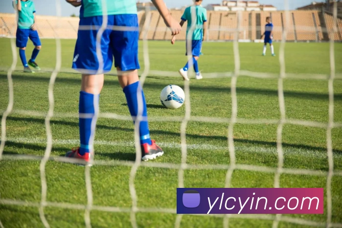 BB贝博艾弗森服务体系